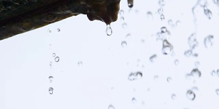Slow motion of water drop fall from eaves