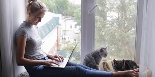 有魅力的女孩坐在窗台上用笔记本电脑和猫在一起