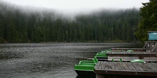 在黑森林或黑森林中下雨时Mummelsee湖的水的运动