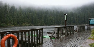 在黑森林里，水边木桥和Mummelsee湖在下雨时的水流运动