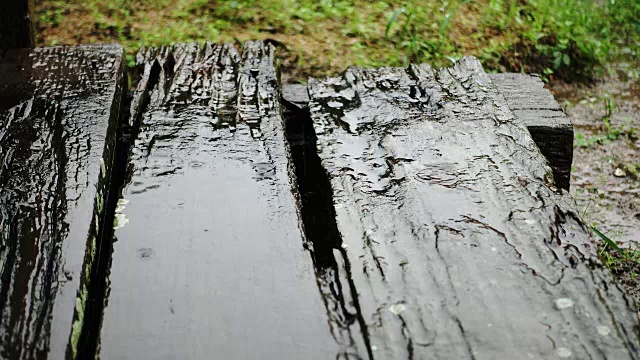 雨季，4K雨落木勺