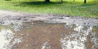 巨大的肮脏的黑色水坑雨后在地上