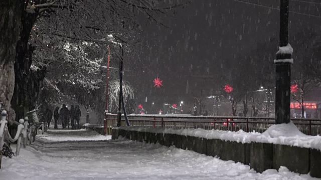 城市人行道和暴风雪的夜晚。美丽的冬天。公园里的树被雪覆盖着