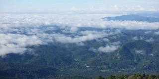 全高清时间流逝云移动热带雨林。