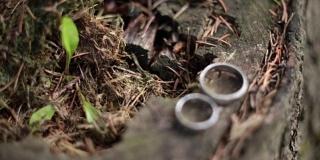 结婚戒指在美丽的背景