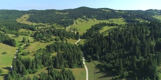 图片:在阳光明媚的斯洛文尼亚，一条乡间小路穿过田园诗般的森林山丘