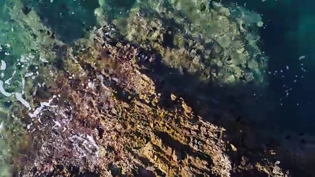 飞过黑山碧绿的海浪拍打着岩石