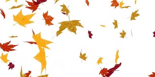 秋叶飘落的动画