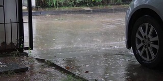 雨落地板附近的汽车