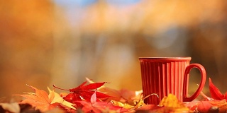 茶杯和秋季多色叶。