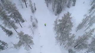 航拍:一个不认识的人走在白雪覆盖的路上穿过神秘的森林视频素材模板下载