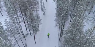 在北方的冬天，人们走在雪地里的森林里