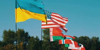 不同州的旗帜随风飘扬。许多不同国家的国旗在风中飘扬
