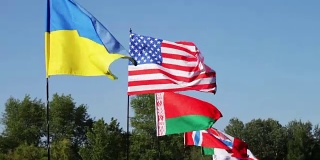 不同州的旗帜随风飘扬。许多不同国家的国旗在风中飘扬