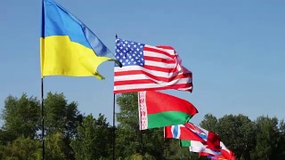 不同州的旗帜随风飘扬。许多不同国家的国旗在风中飘扬视频素材模板下载