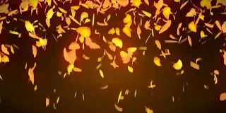 秋叶落在黄色的背景，银杏叶，环闪动画，