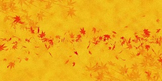 秋叶落在金色的背景上，枫叶，环闪动画，