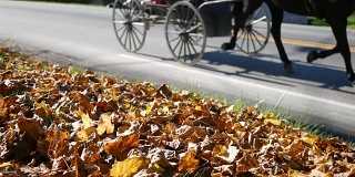 秋天，阿米什人的马车在宾夕法尼亚州的路上行驶