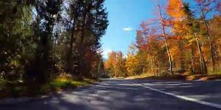 在美丽的阳光明媚的秋天里，驾车在风景优美的道路上穿过五颜六色的森林