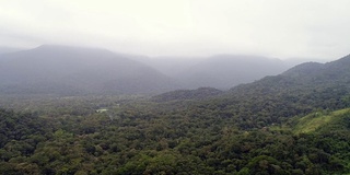 森林景观和山脉在一个多云的日子在巴西