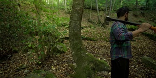 砍伐森林中的树木- 4K分辨率