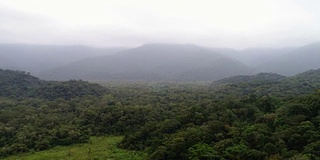 森林景观和山脉在一个多云的日子在巴西