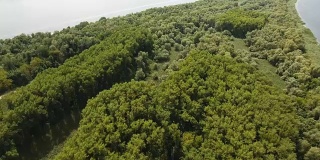 航拍的河岛与树木，流入Dnipro盆地在夏季