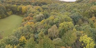 无人机鸟瞰五彩缤纷的秋天森林