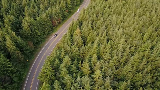 蜿蜒的道路通过管理森林在太平洋西北-航拍