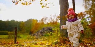 小女孩穿着秋衣，戴着温暖的帽子和围巾，站在公园里看着黄叶从树上飘落。把叶子从树上分离出来