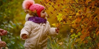 小女孩穿着秋衣，戴着温暖的帽子和围巾，站在公园里看着黄叶从树上飘落。把叶子从树上分离出来
