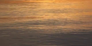 日落时的河水，自然背景，鄂毕河，西伯利亚，俄罗斯