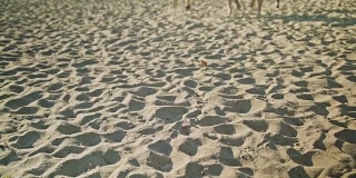 在沙滩上奔跑的双脚