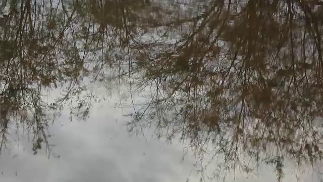 雨滴落在水面上