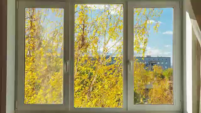 紧闭的白窗远眺黄秋树。时间流逝的视频