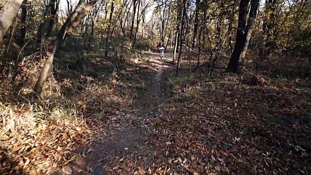 一个年轻人在森林里骑山地车