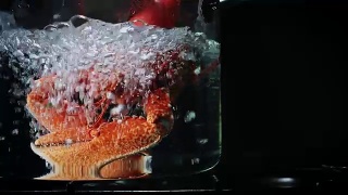 4k水煮龙虾玻璃锅视频素材模板下载