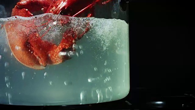4k水煮龙虾玻璃锅
