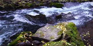 小溪和秋色
