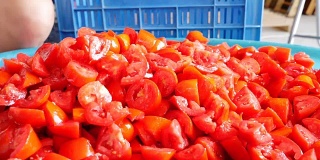 传统番茄酱制作:将番茄片放入大盆中