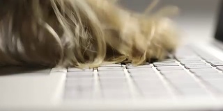 狗的爪子在笔记本电脑上打字。