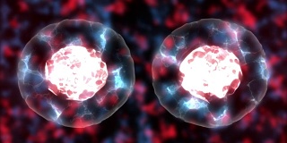 3D渲染动画的神圣，有丝分裂和复制一般的生物细胞。