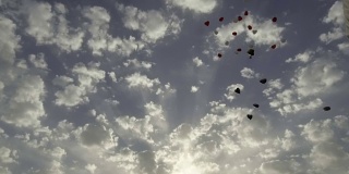 婚礼当天，许多气球在户外飞向天空