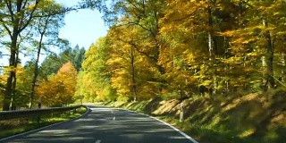 在秋天的一天，驾车穿过树林的道路