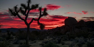 时光流逝:日出沙漠-约书亚树国家公园，加利福尼亚