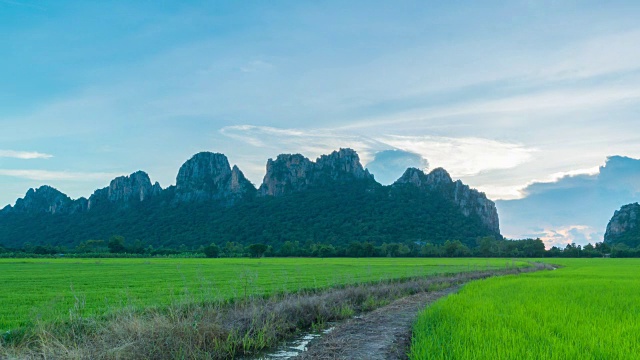 4K时间流逝:泰国北部的水稻