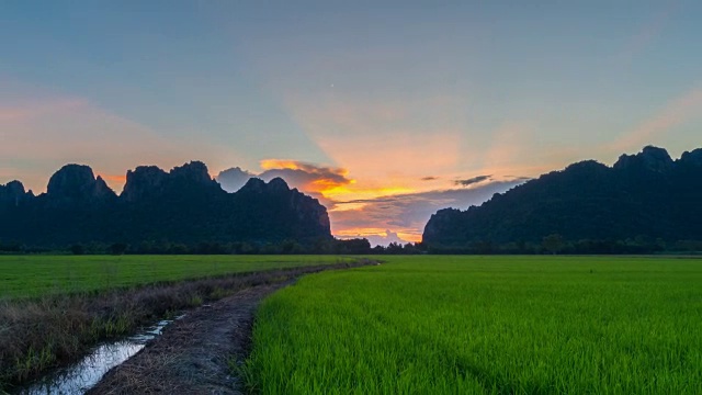 4K时间流逝:泰国北部的水稻