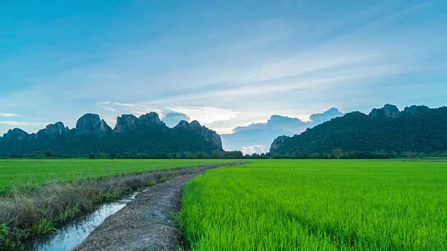 4K时间推移:日落水稻在泰国北部