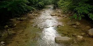 山河中奔流冒泡的水春天的细沟流。自然成分。