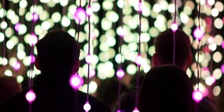 一群人在欣赏LED灯泡